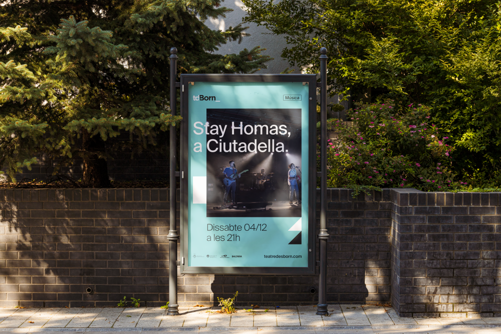 tdBorn_Poster_Stay_Homas